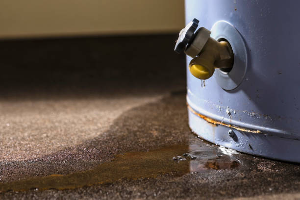 Best Flood damage cleanup  in Colonial Beach, VA