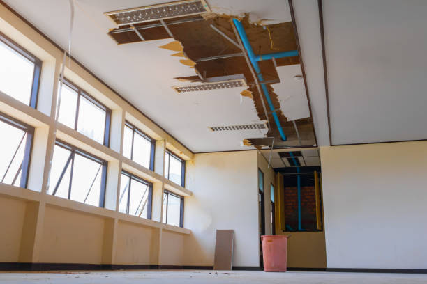Local water damage restoration in VA