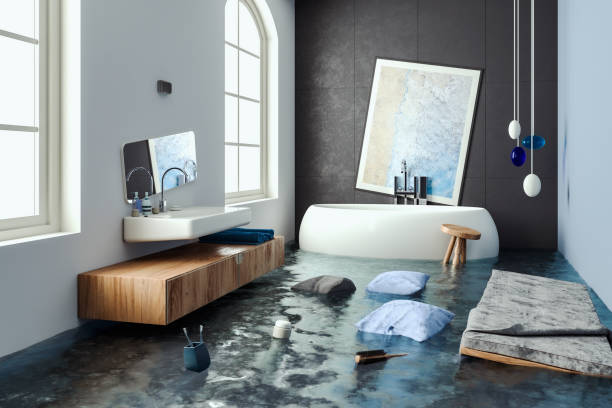 Best Professional water damage repair  in Colonial Beach, VA