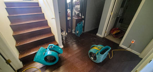 Best Carpet water damage restoration  in Colonial Beach, VA