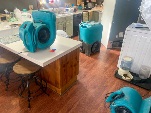 Best Professional water damage repair  in Colonial Beach, VA