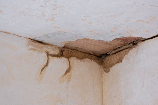 Best Carpet water damage restoration  in Colonial Beach, VA